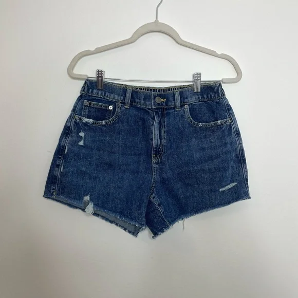 NWT Aerie Daydream Denim Distressed Shorts M - Picture 3 of 13